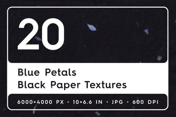 Download Blue Petals Black Paper Textures - Black paper Collection
